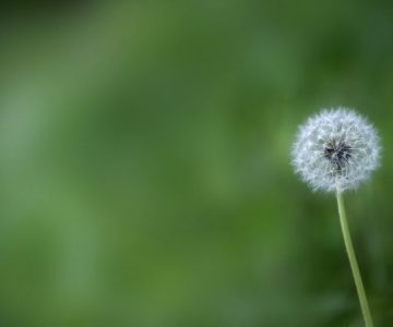 2019年について考える話。